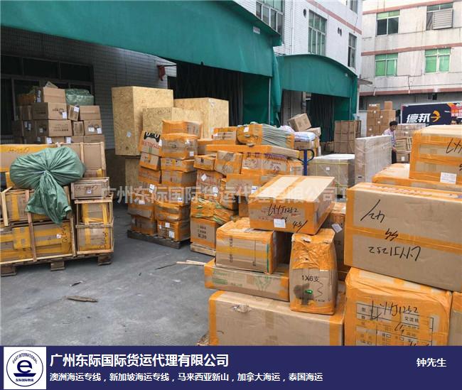 珠?；疱伒琢虾＿\(yùn)新加坡全程指南 廣州東際國(guó)際物流一站式倉(cāng)儲(chǔ)服務(wù)解析